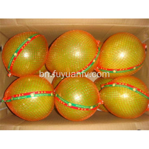 গরম বিক্রয় সুস্বাদু তাজা pomelo